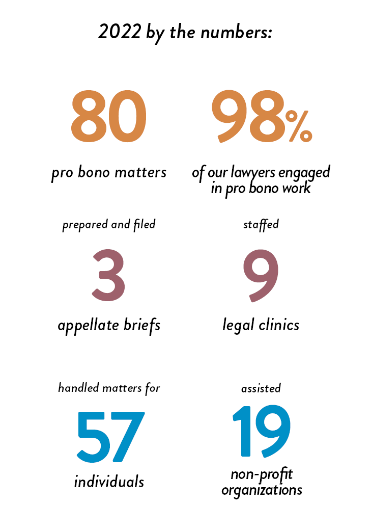 Pro Bono Stats for 2020